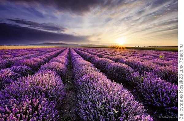 С днём рождения Вас!