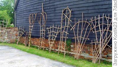 Варианты для вьюнов.