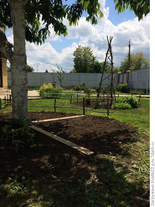 Сад уже в конце мара...