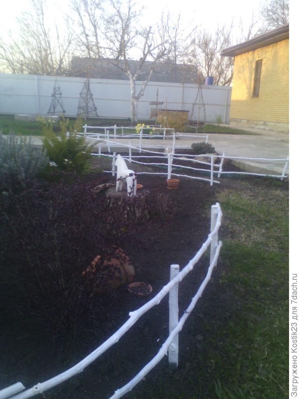 Заборчики,ещё всё пусто,только проснулся барбаис,сейчас тут всё в ромашкпх и цинии и лаванлой "зарасло'