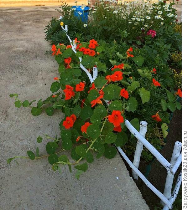 А это в начале мая...