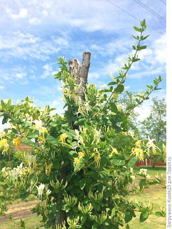 Этой весной.