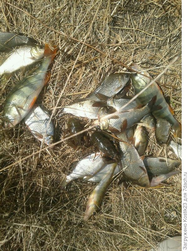 Полчасика как сидим :)