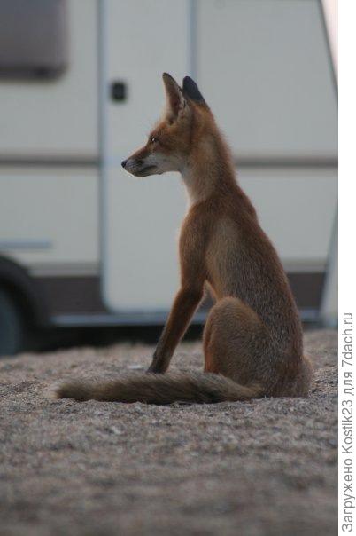 В прошлом году... :)