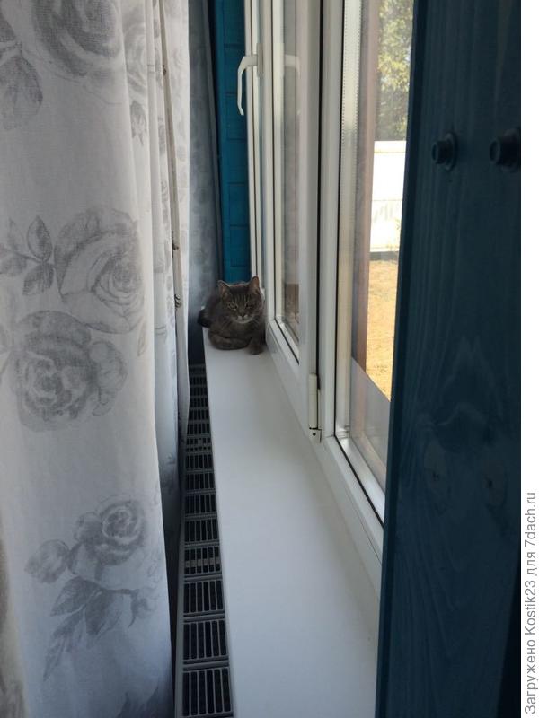 Ежедневно с утра :) ...