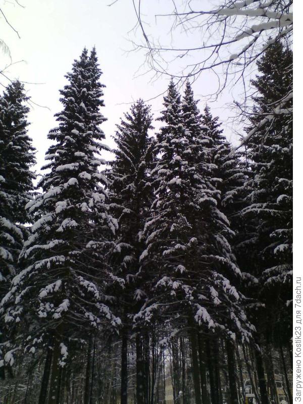 Подмосковье