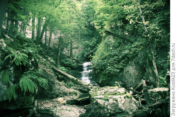 Район Гузерипля...