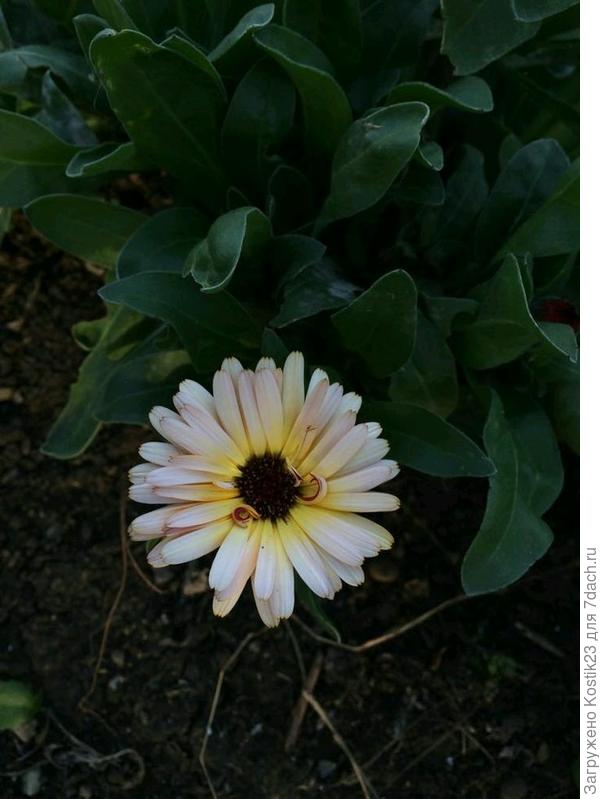 А это в январе :)