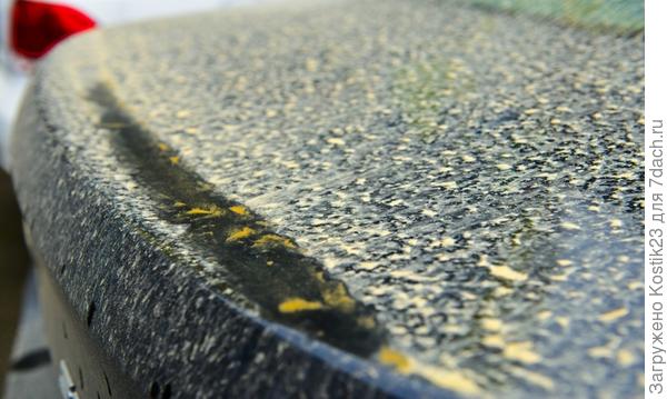 Фото из интернета ....