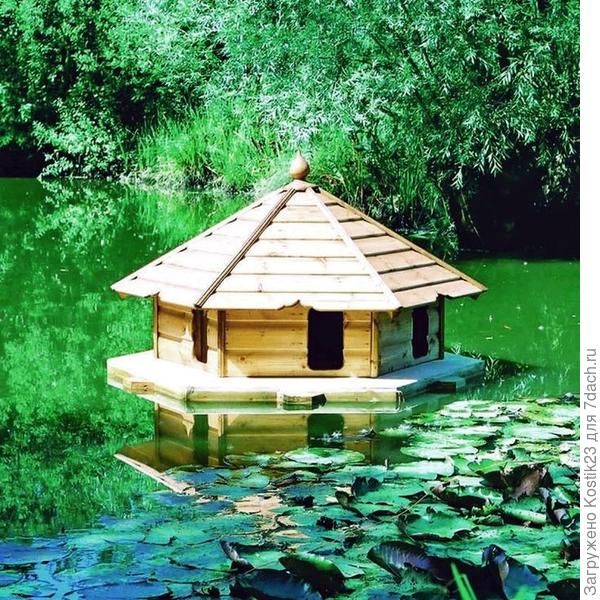 Фото с интернета