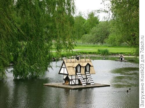 Фото с интернета