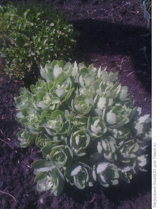 Ростём потихоньку :)