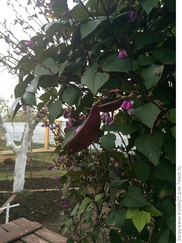 Середина октября примерно...