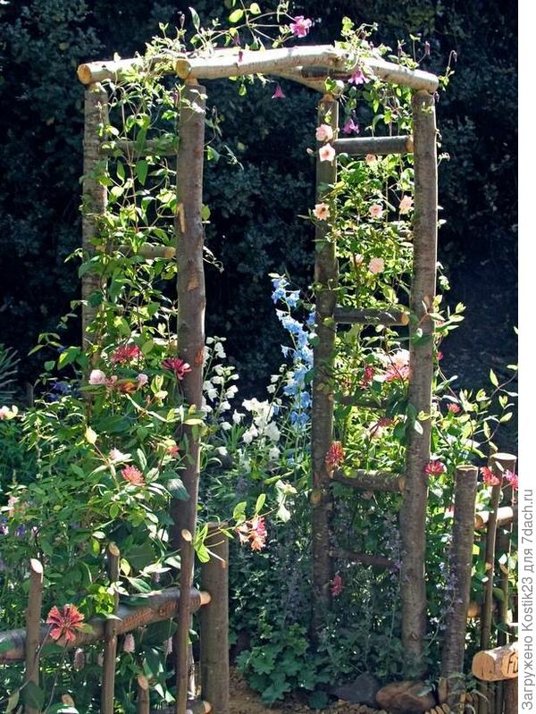 Фото из интернета...