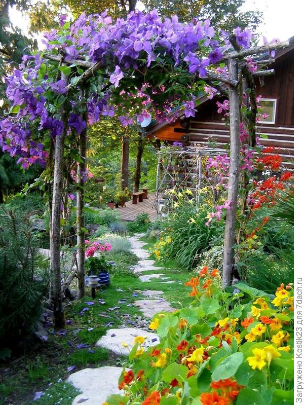 Фото из интернета ...