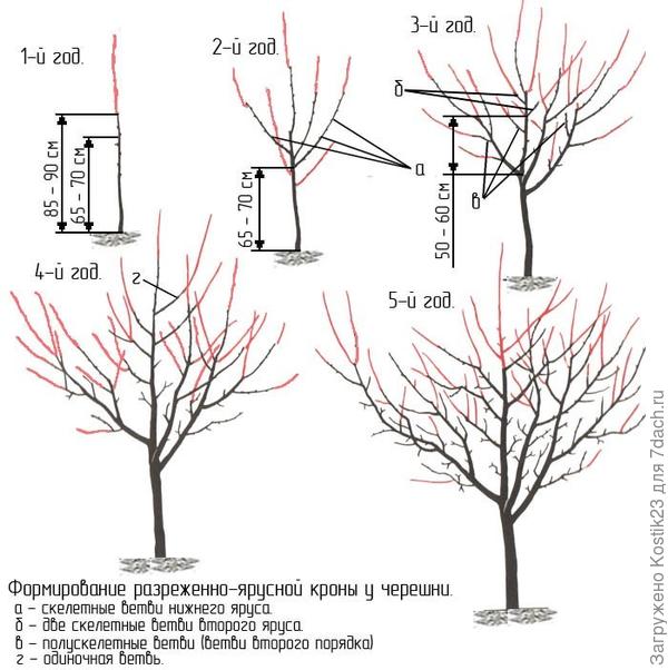 Фото из интернета ...