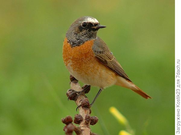 Фото из интернта