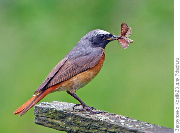 Фото из интернета