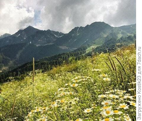 Краснодарский край,Красная поляна,район олимпийской деревни ,Июнь 2017.
