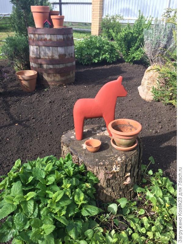 Вот кустик у пенька и отцветшей калужницы сегодня фотографировал :)