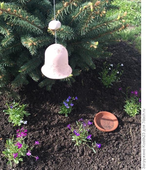 Лобелия радует своими нежными цветочками :)