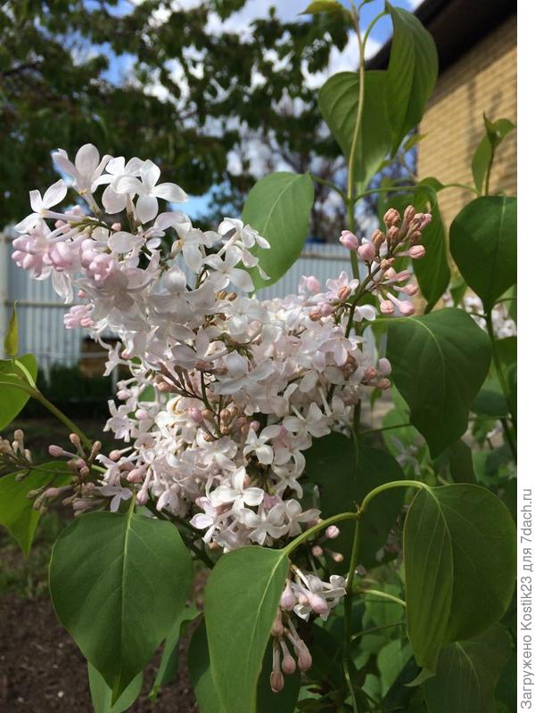 А это для улыбки :) !