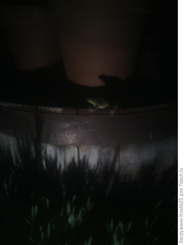 Вчера в 1:30 ночи снял :)