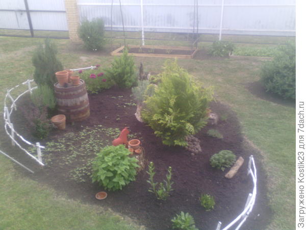 Вот другая Туйка ... и &quot;Панычи&quot; &quot;проклюнулись&quot; уже между бочкой и лошадкой :)