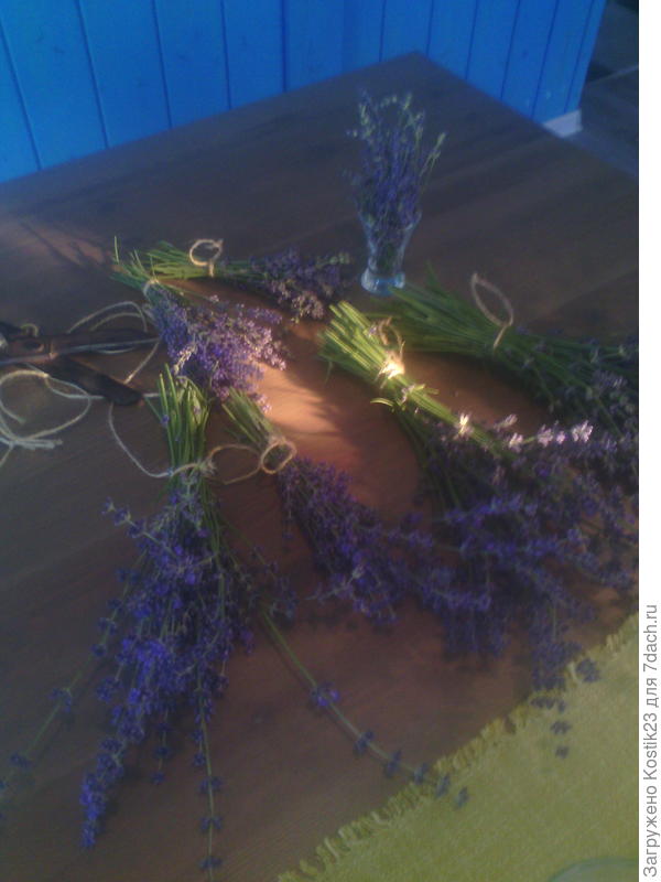 Возможно солнца луч так насышает цвет,но вроде бы так и есть :)