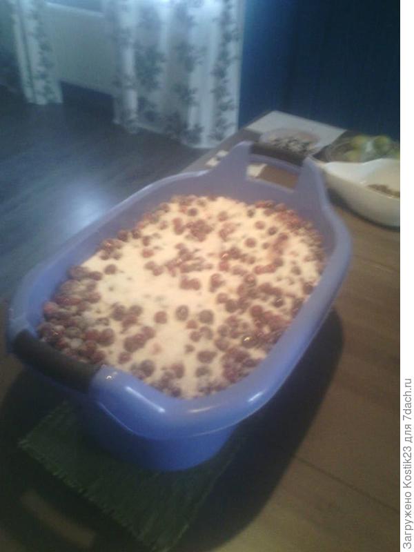 Вот на такой объём ушло пять лимонов ( можно и больше добавить) и две чайные ложки корицы... Прости за качество фото ,снимал в 4 утра ,сумрак был все спали не хотел шторы сильно открывать, будить всех, фонариком подсвечивал :),пока начал варить первый этап :)