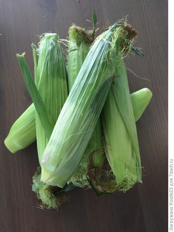 А мы уже свежую кукурузу сегодня кушали :)