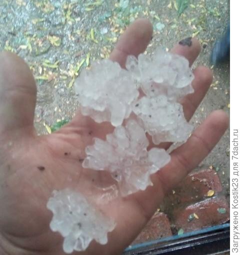 Знакомые прислали по вотапу сразу же после ливня