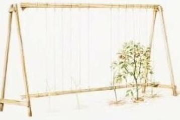 Фото из интернета ....