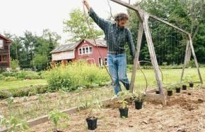 Фото из интернета ...