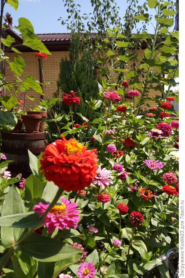 А это для настроения хорошего :)