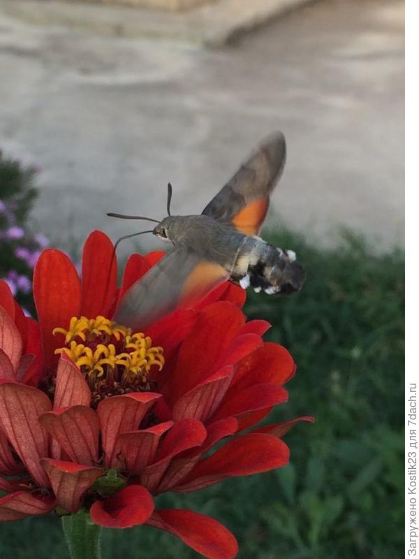 А это в прошлом году в сентябре...
