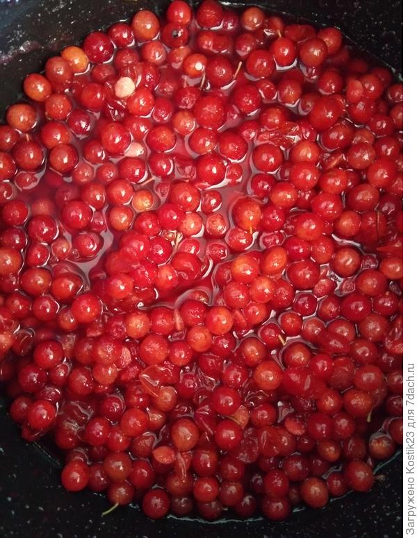 Вскоре ягоды дадут сок