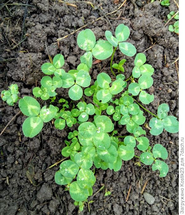 Свеженький :)