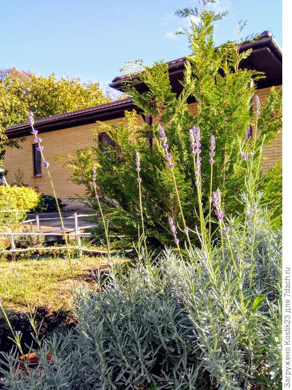 Только,что сфотографировал ;)