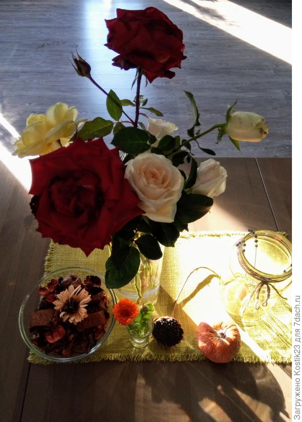 Сегодня с утра , солнышко радует:)...