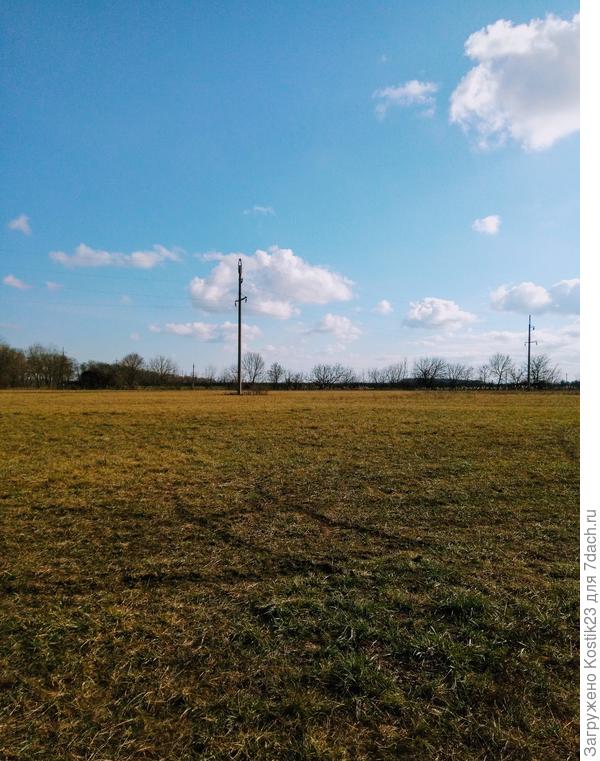 Поля потихоньку начинаю зеленеть...