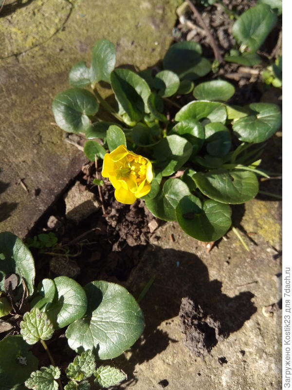 Сегодня,пока шёл в магазин :)