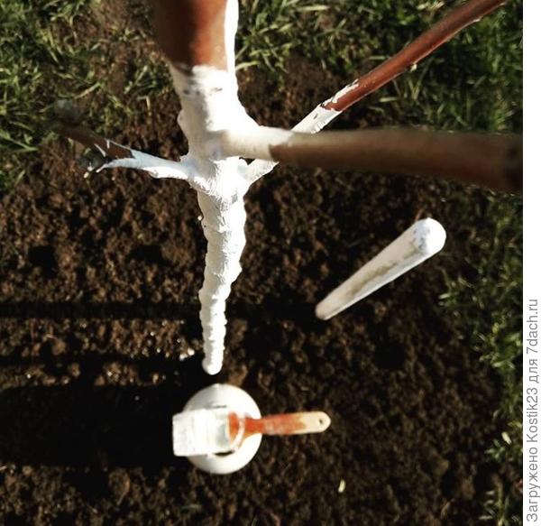 Сегодня утром...:)