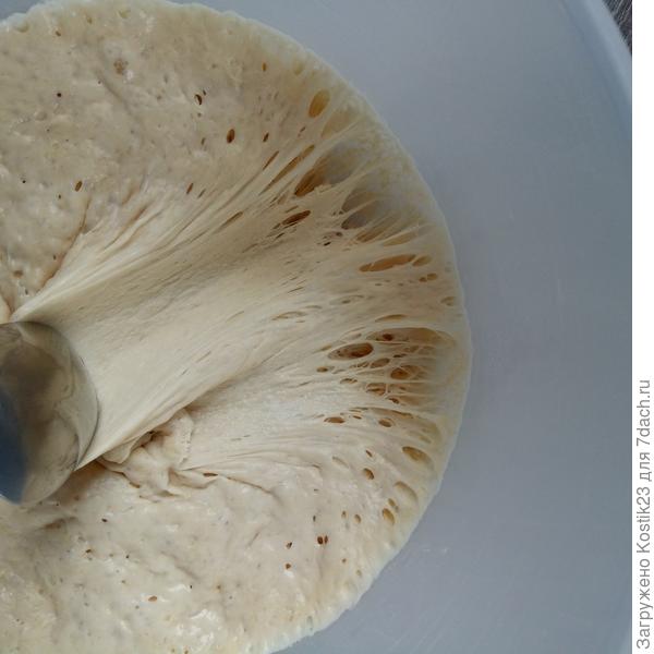 Бига через 24 часа,перед замесом теста...