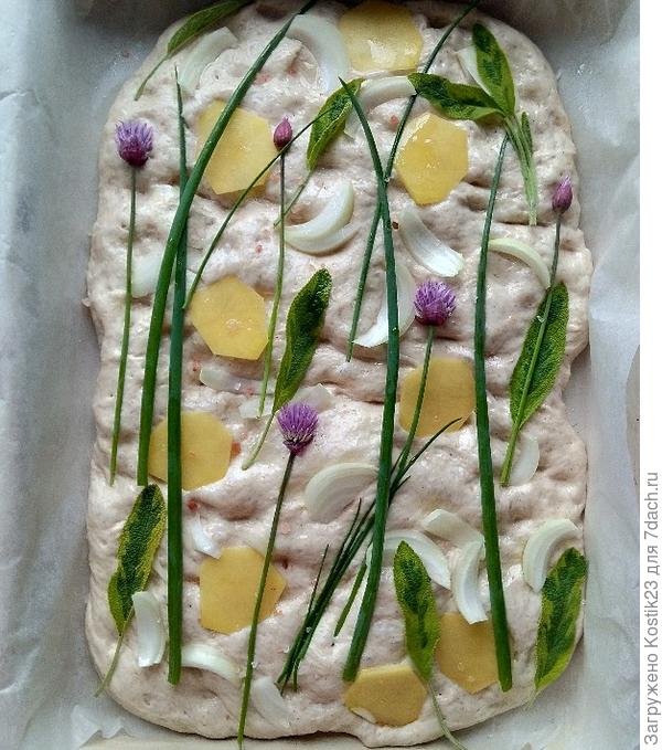 Фокачча из цельнозерновой муки на закваске с луком,шалфеем и картофелем...