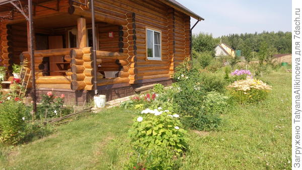 Пока растет всё скромно...  Есть хоста и астильба.