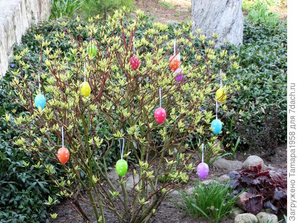 Празднично-пасхальный дерен