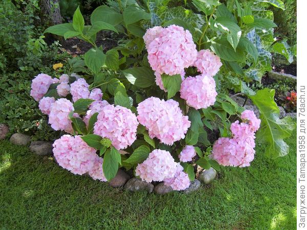 Бесконечное лето