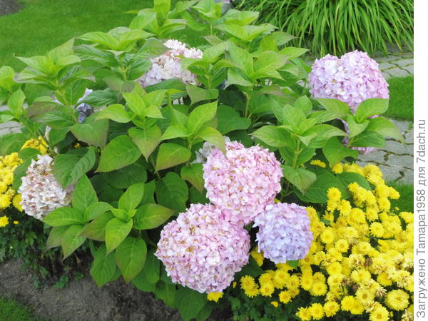 Бесконечное лето