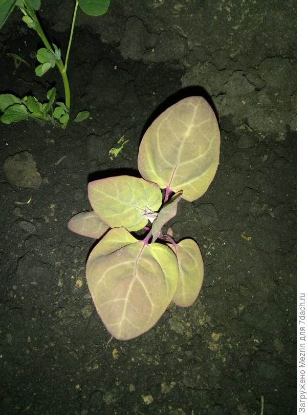 Фото 6